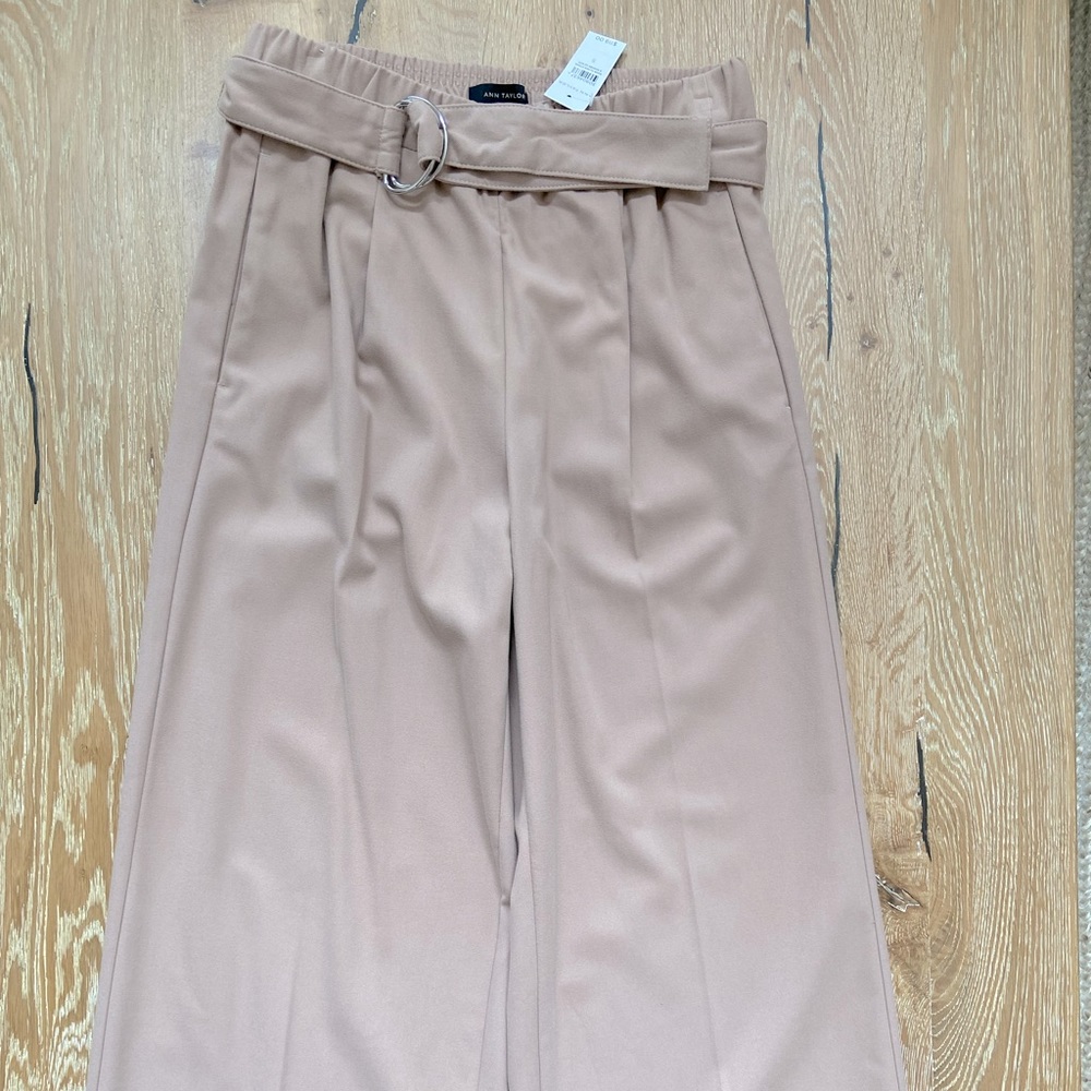 Ann Taylor Paper Bag Slacks